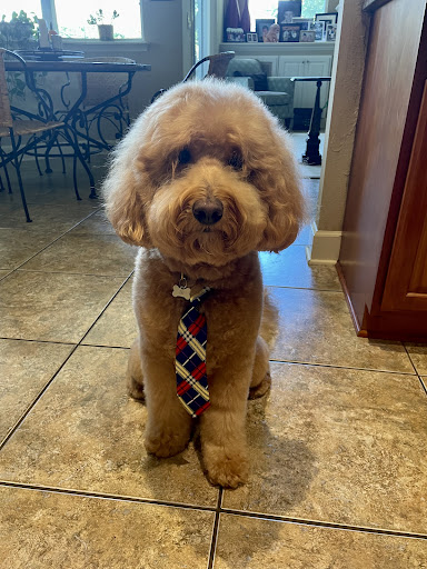 Woof Gang Bakery & Grooming Lake Mary - Thumbnail
