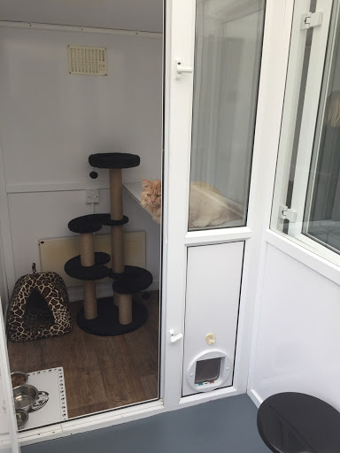 Browside Cattery - Thumbnail