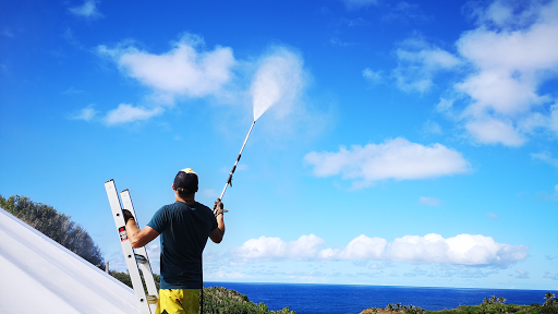 Picture Perfect Pressure Washing & Windows LLC Logo