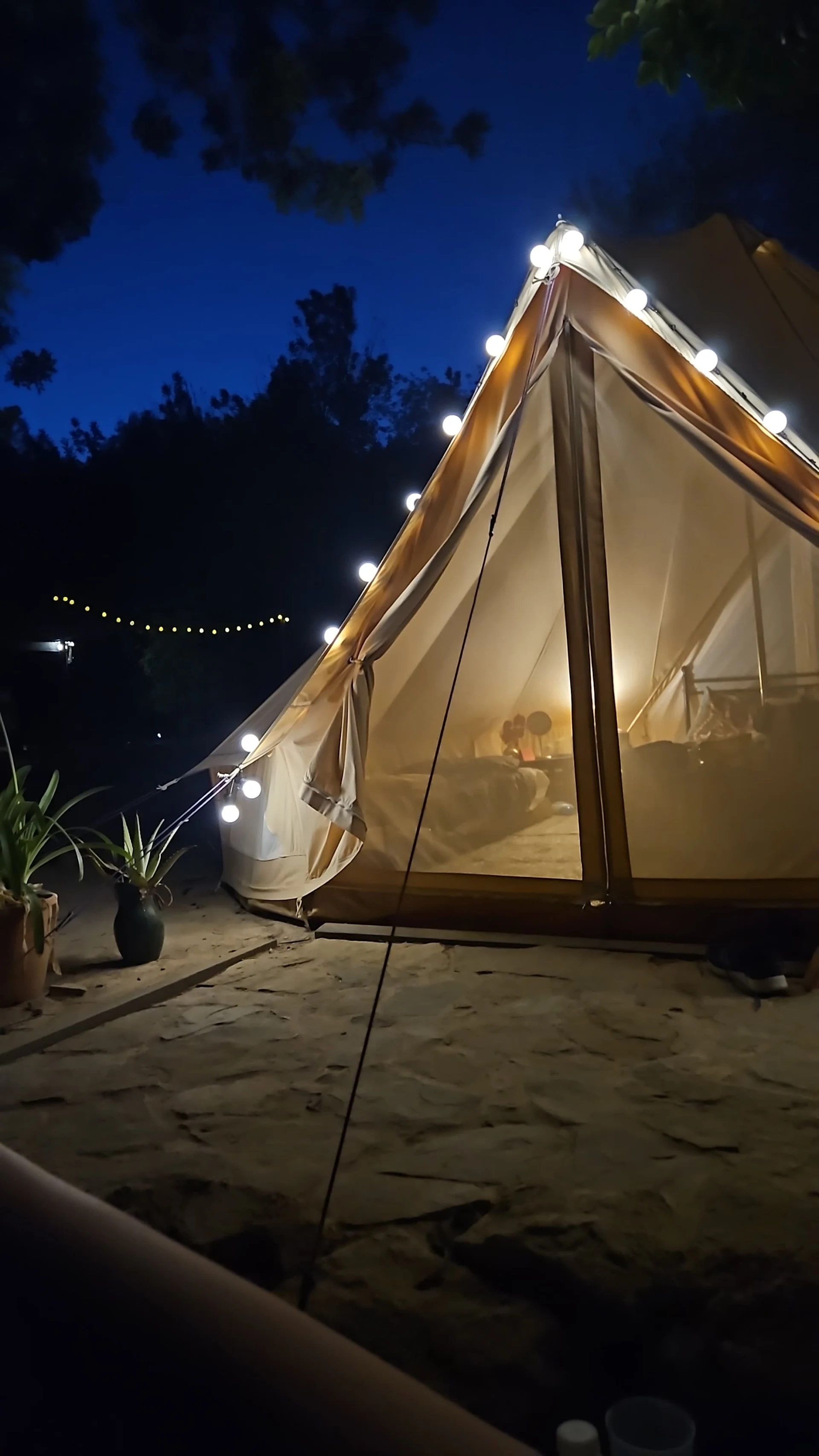 Cactus lodge