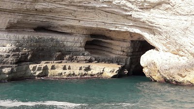 Photos of Ente Autonomo Fiere of Foggia
