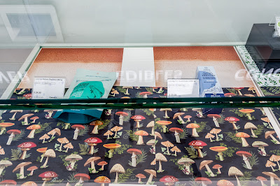 Photo of Cannabis Haven - Recreational Dispensary & Smoke and Vape