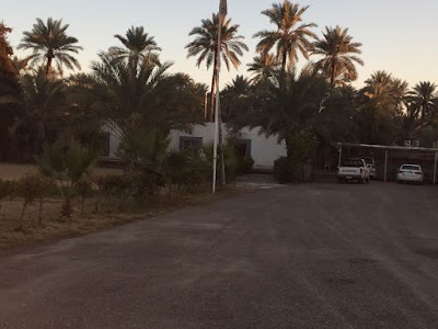 Photos of جامع فاطمه الزهراء