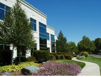 Torkelson & Associates CPAs, LLP - Thumbnail