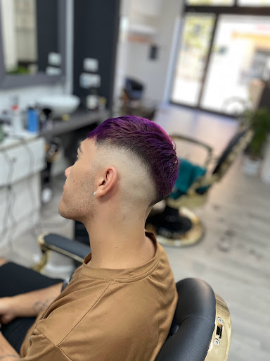 THE BARBER FF - Visual