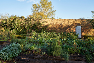 Photo n°62 de Restaurant Troisgros Le Bois sans feuilles à Ouches (Hôtel)
