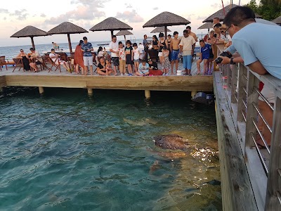 Photos of Machchafushi