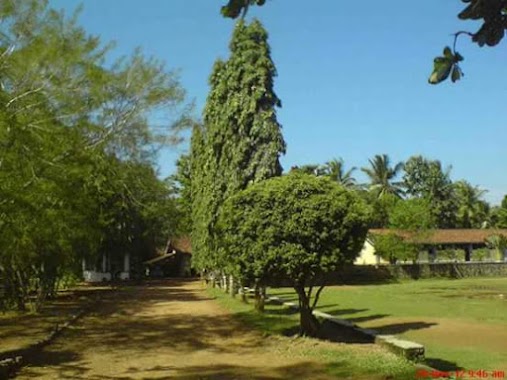 Batepola Maha Vidyalaya, Author: Nadeeshani Sri