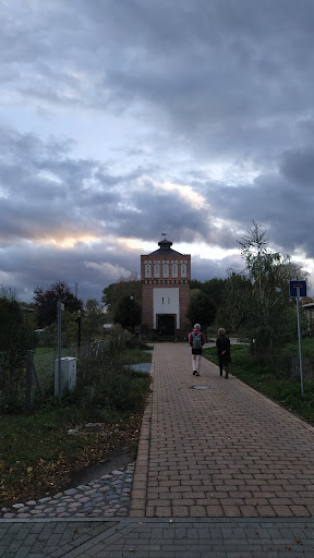 Die stummen Frösche von Schwante