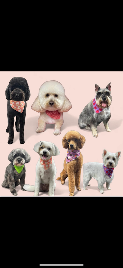 Pawlished and Primped