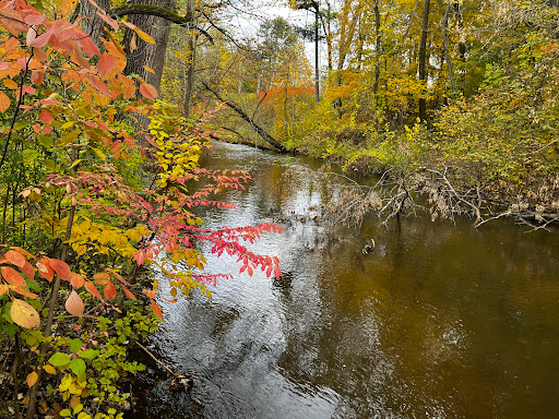 Stony Creek Metropark Nature Center - Thumbnail