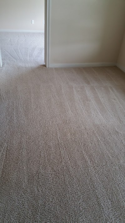 Luxury steam carpet cleaning