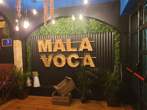 Malavoca - Visual