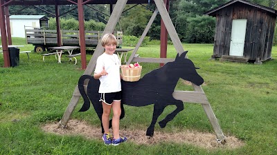 Photos of Coston Farm & Apple House