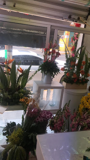Pompón Florería Mexicana