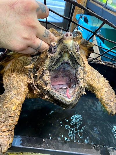 Loj 爬虫類ショップ Nara 81 745 60 6034 Japan