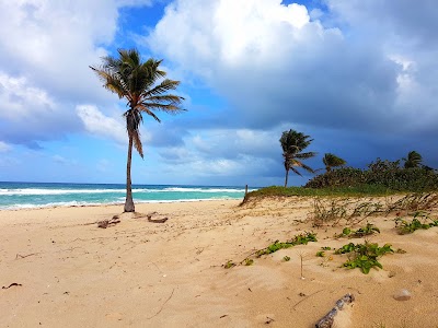 Photos of Beach In Santa Maria, Havana