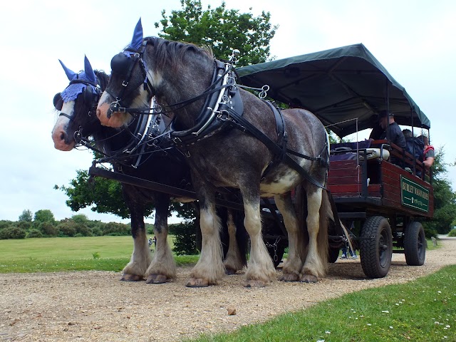 Burley New Forest village