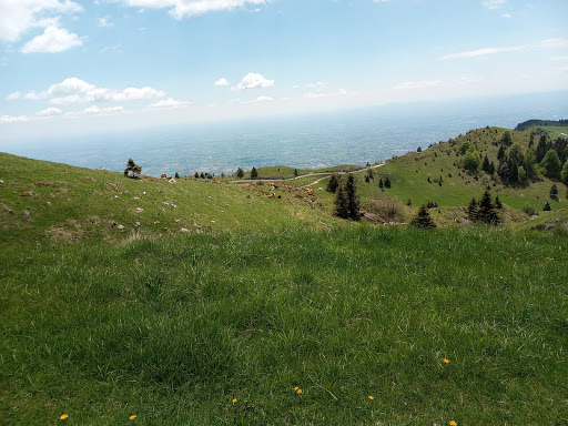 Alpenwind - Thumbnail