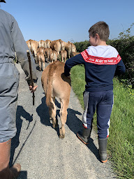 Photo n°5 de GAEC Guillemet Les Gâts Guillemet J-Paul, Natacha et Léo à Vouvant (Siège social)