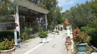 Photos of Bar Restorant Kavalona Park