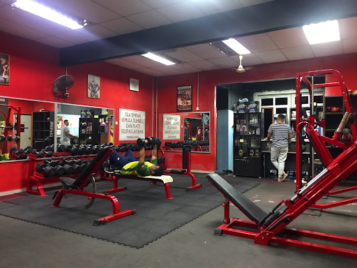 COBRA BROTHERHOOD GYM