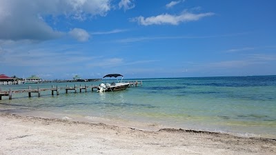 Photos of Island Divers Belize