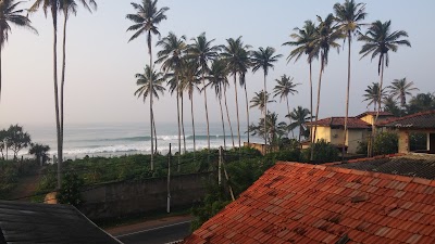 Photos of Cocoplant Surf Inn & Surf Camp