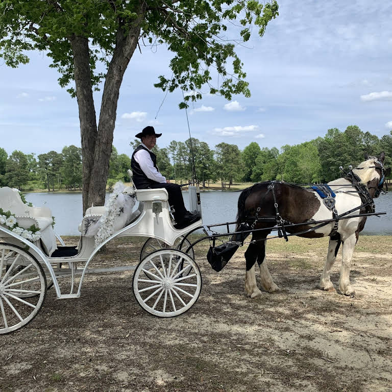 Horse Drawn Carriages for Funerals – Southern Breezes Carriages