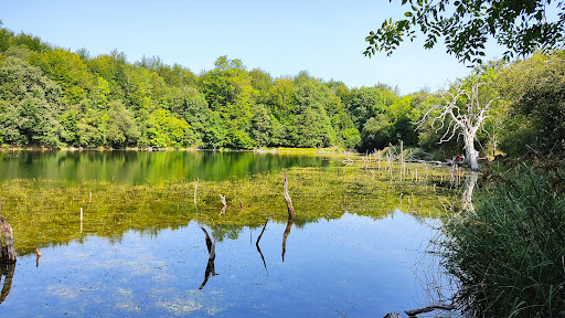 Laguna Lamioxin - Visual