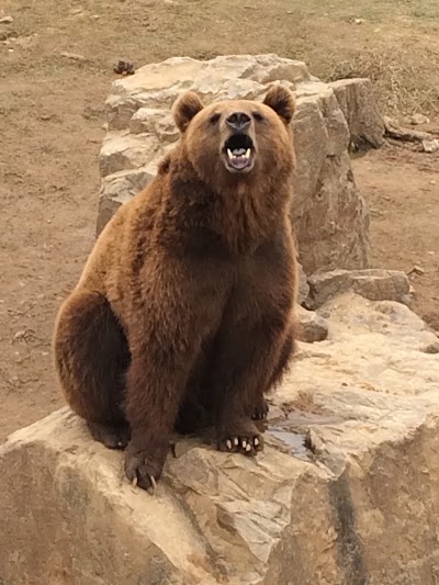 Photos of Wuxi Zoo （West Gate 1）