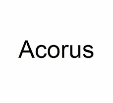 Acorus bahawalpur