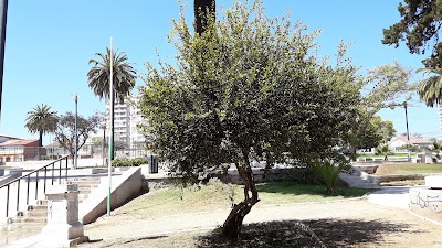 Photos of Plaza De La Conquista