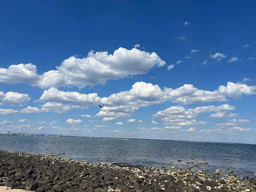 Point Gellibrand Lookout