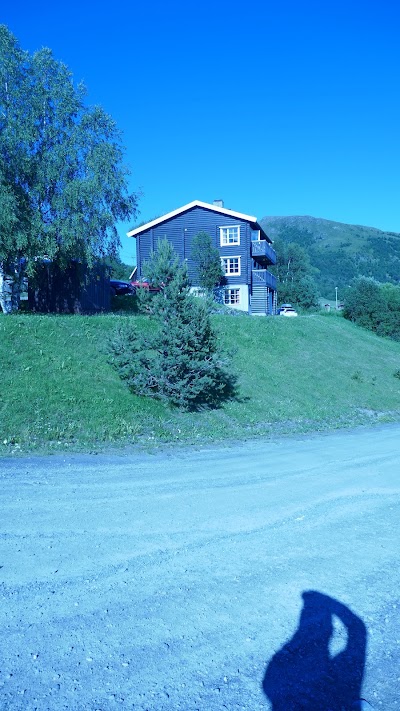 Photos of Vangslia Fjelltun