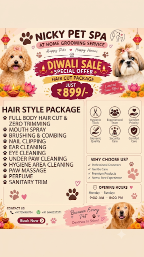 Happy diwali in advanced 🎇