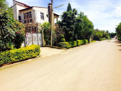 Photos of Ayat Real Estate VIP
