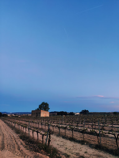 Camperwine - Thumbnail