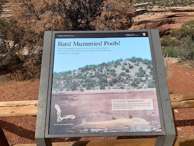 Upper Ute Canyon View