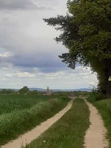 Evang.-Luth. Pfarramt Büchenbach - Thumbnail