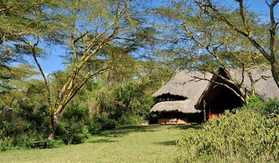 Photos of Muthaiga Travel