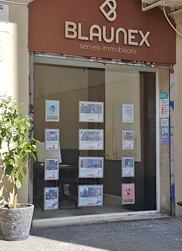 Blaunex - Visual