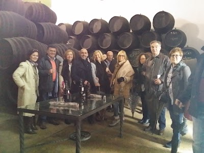 Photos of Bodegas Torres Burgos - Regala el Mejor Vino