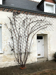 Photo n°17 de Yann vous aide à Morée (Paysagiste)