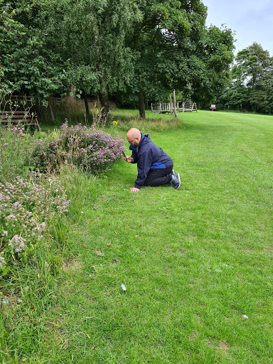Caistor Park - Visual