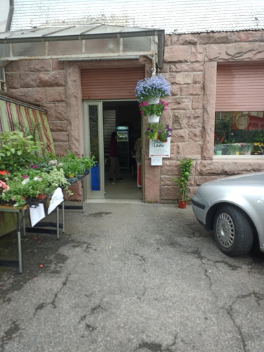Alp Store
