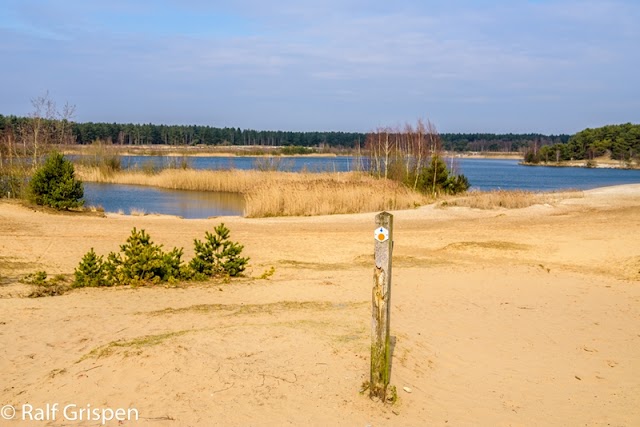 Sahara de Lommel