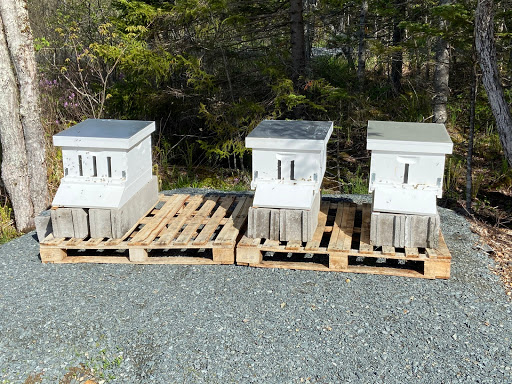 Country Fields Beekeeping Supplies