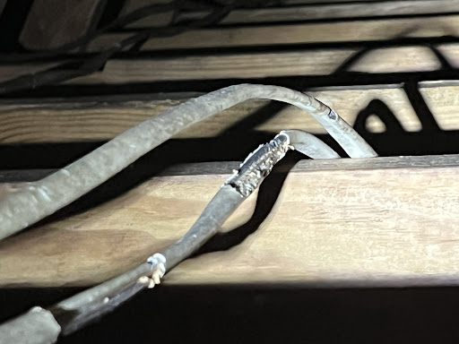 Copper Branch LLC - Thumbnail