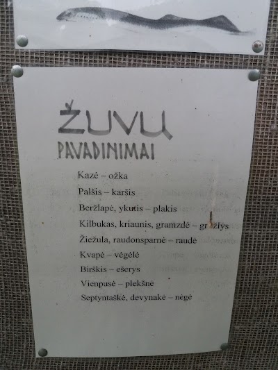 museum